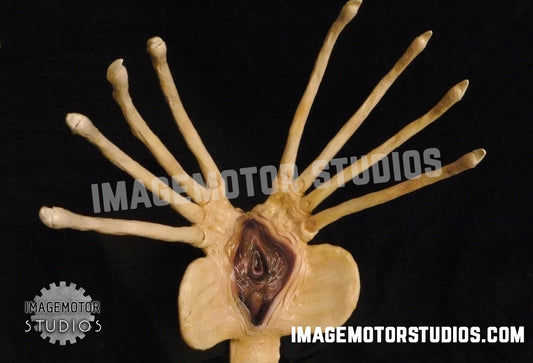 Alien facehugger prop replica Life size 1:1 scale