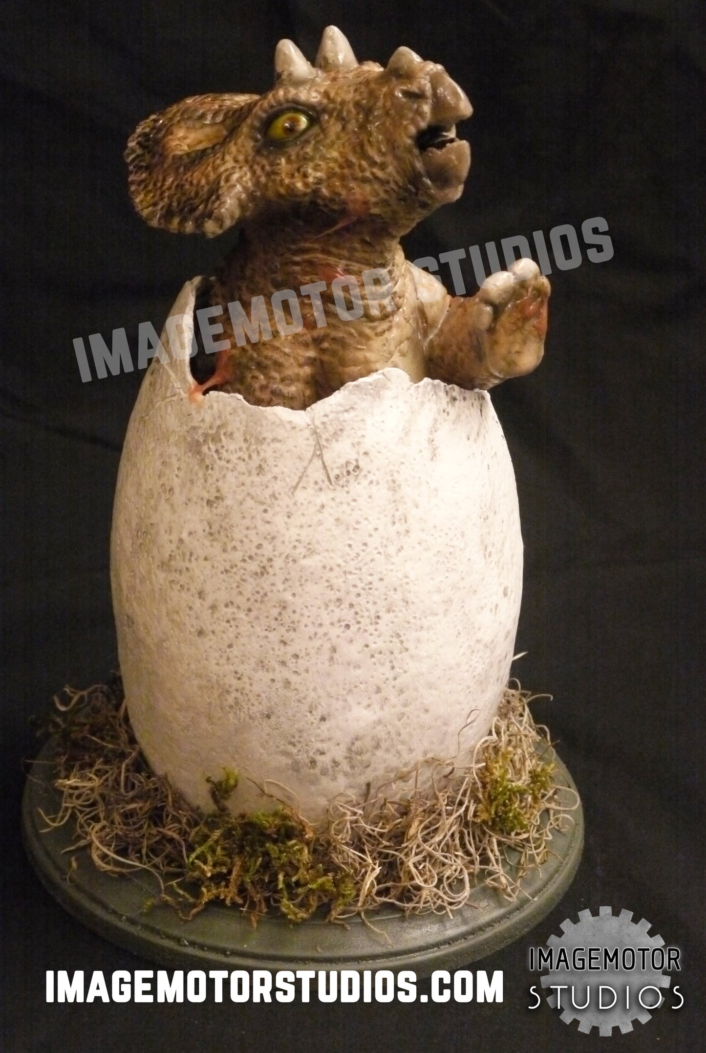 Egg hatching baby Triceratops prop