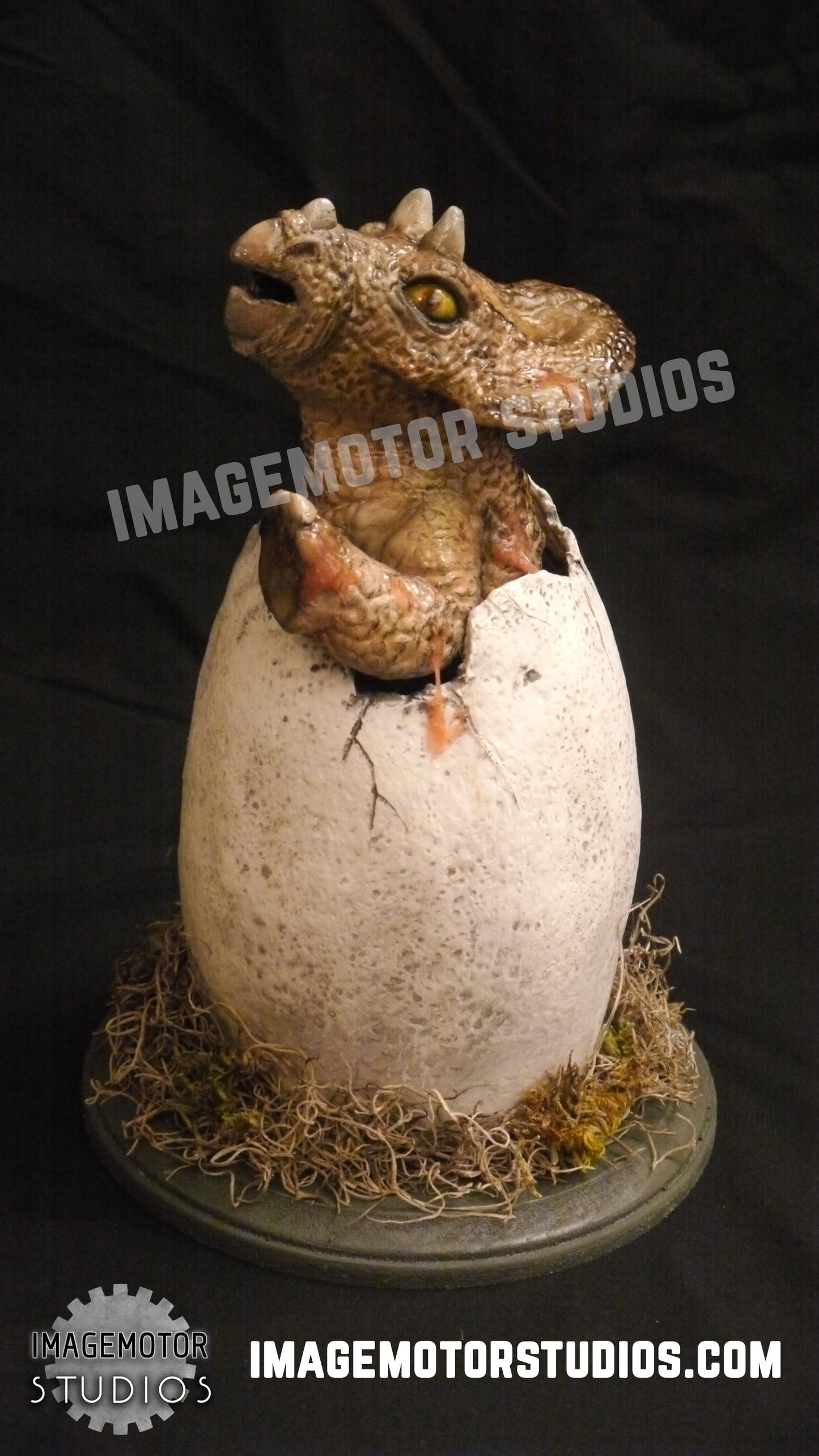 Egg hatching baby Triceratops prop