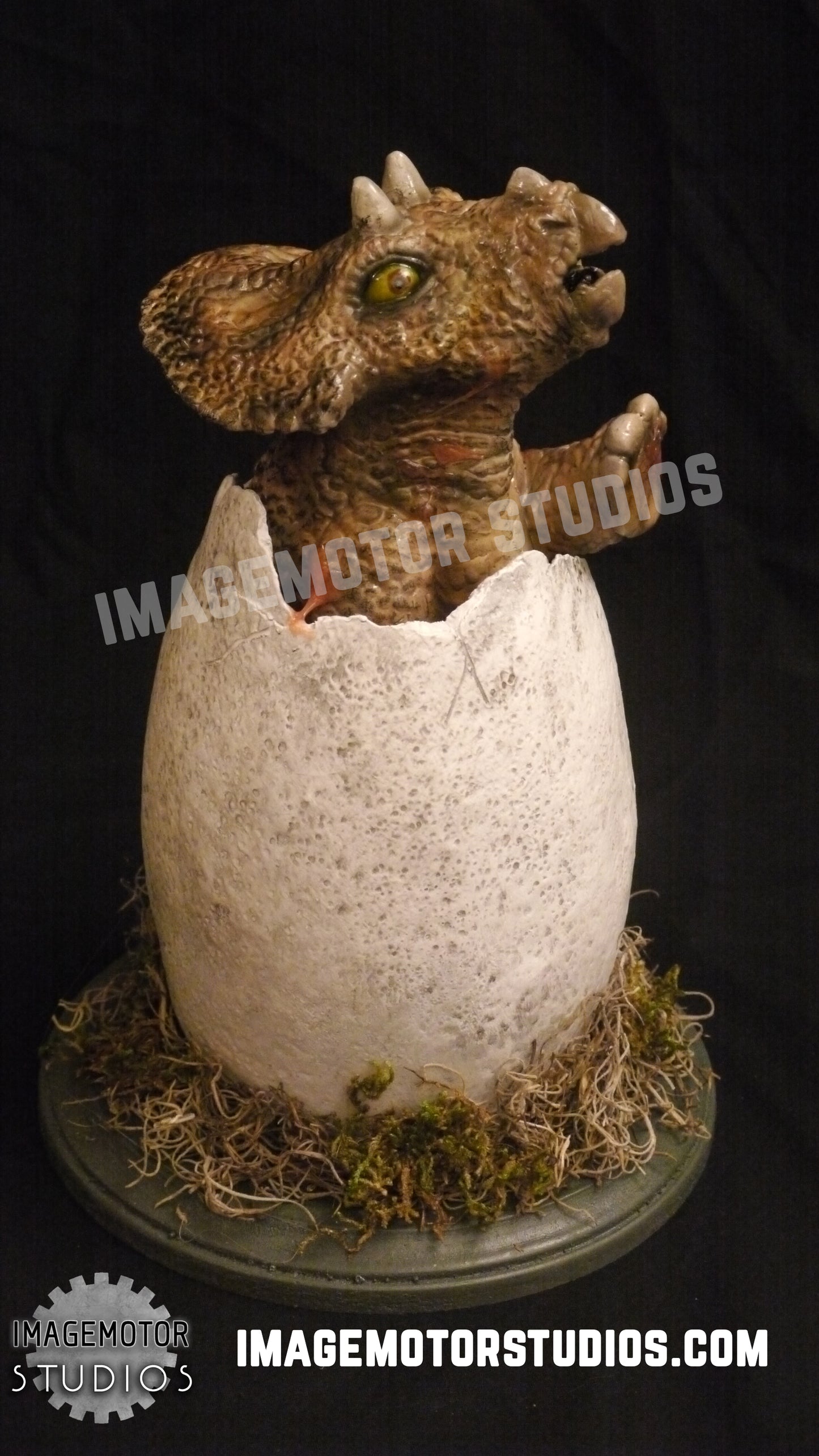 Egg hatching baby Triceratops prop