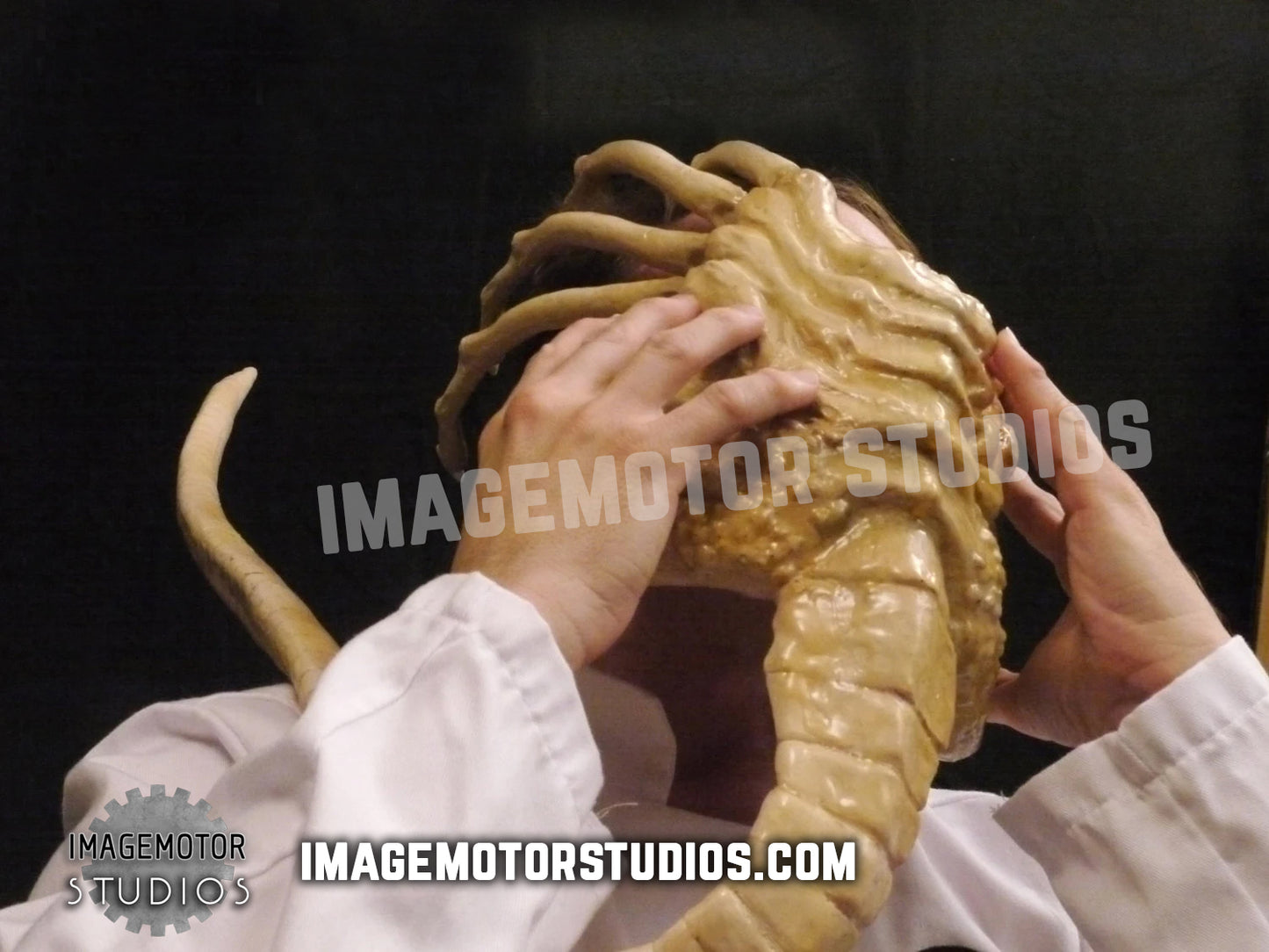 Alien facehugger prop replica Life size 1:1 scale
